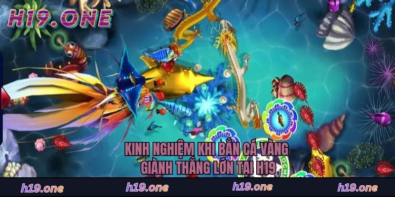 Kinh nghiệm khi bắn cá vàng giành thắng lớn tại H19