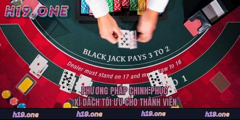 Phương pháp chinh phục Xì Dách tối ưu cho thành viên
